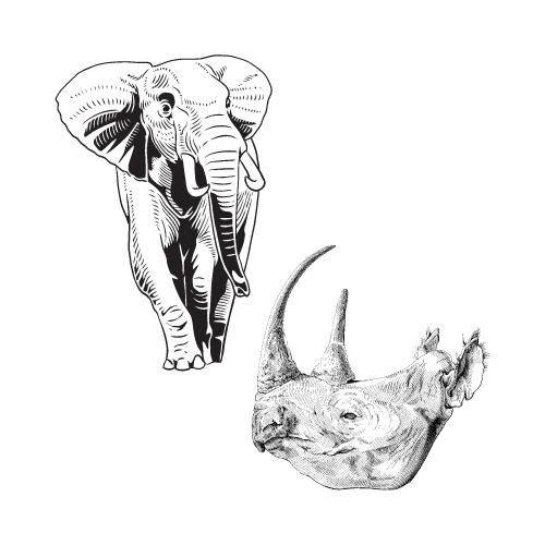 Elephants & Rhinos